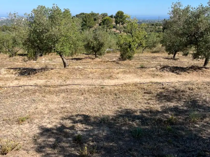 Terreno en venta en Les Borges del Camp