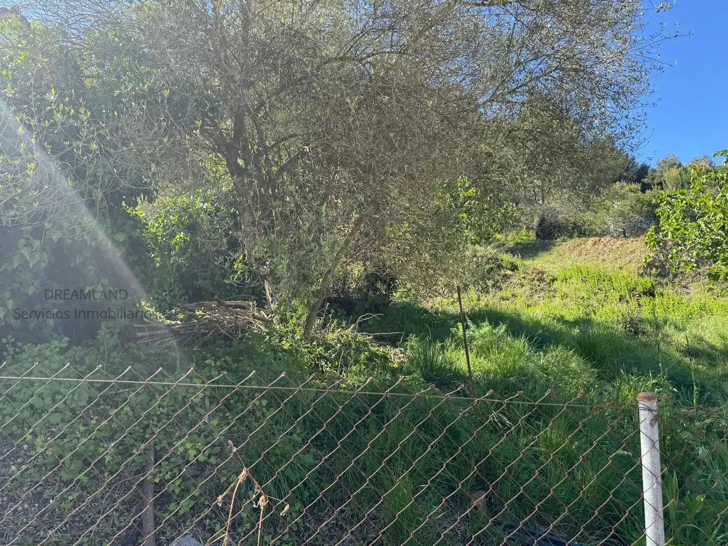 Terreno rustico in vendita a Piera, imagen 3