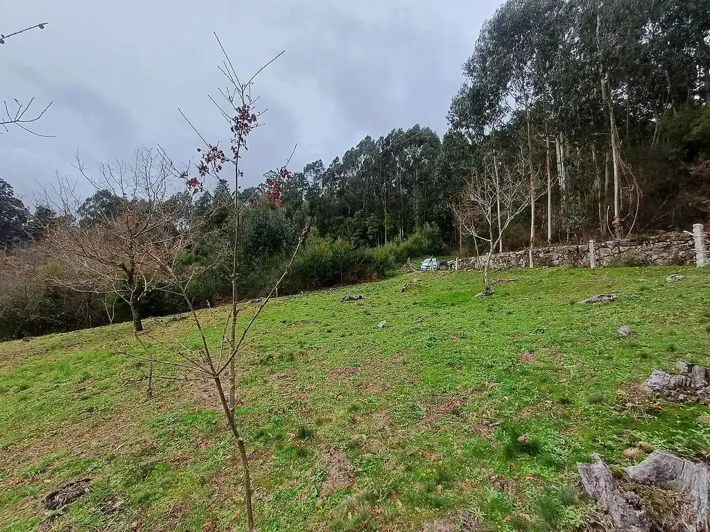 Residencial en venda en A Cañiza  