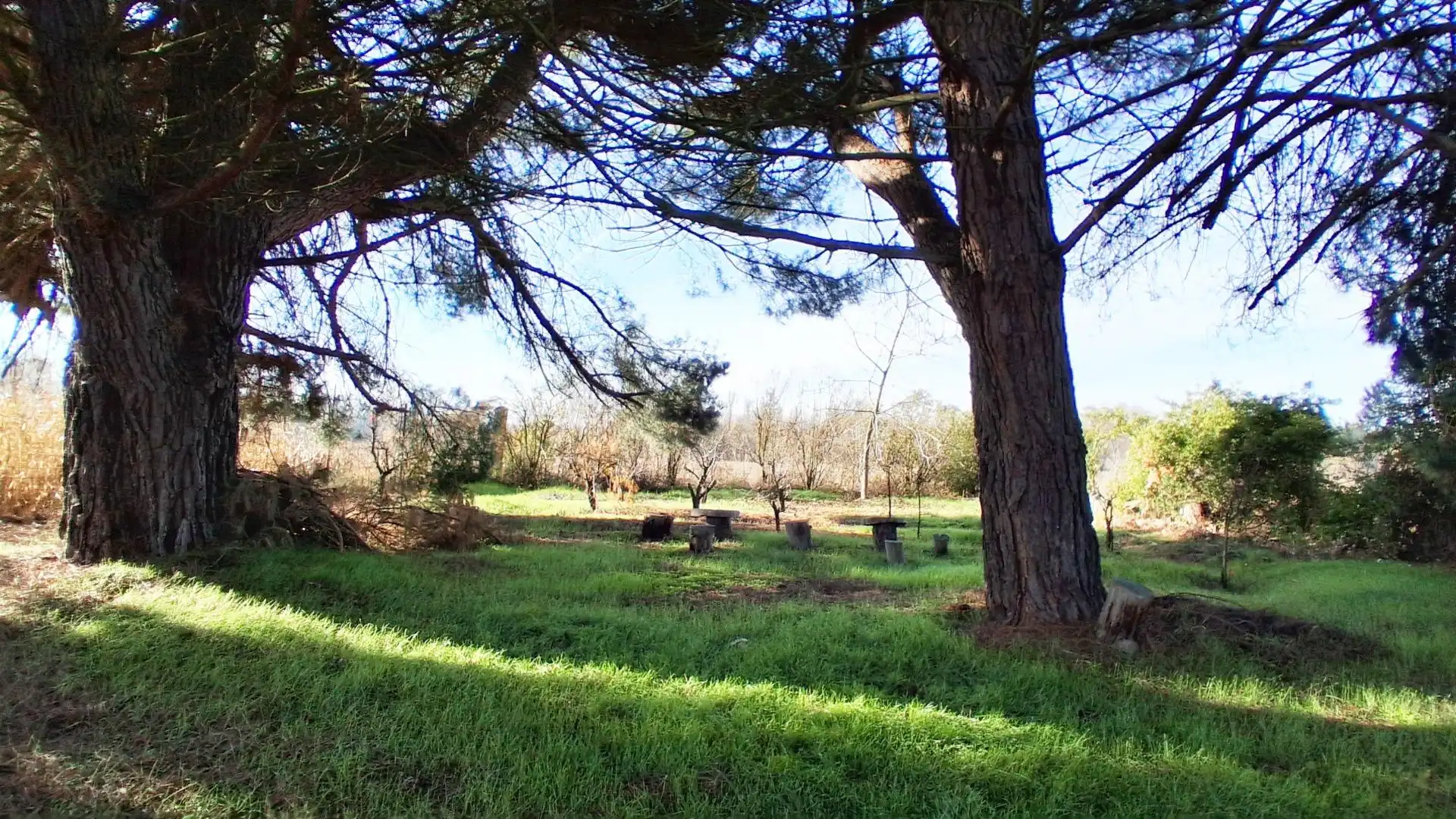 Finca rústica en venta en Almenara de Tormes