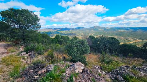 Photo 5 of Land for sale in N/a, -1, Nerva, Huelva