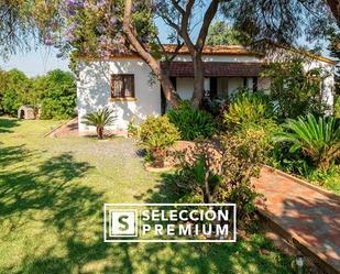 Jardí de Casa o xalet en venda en Cartaya amb Terrassa, Piscina i Balcó