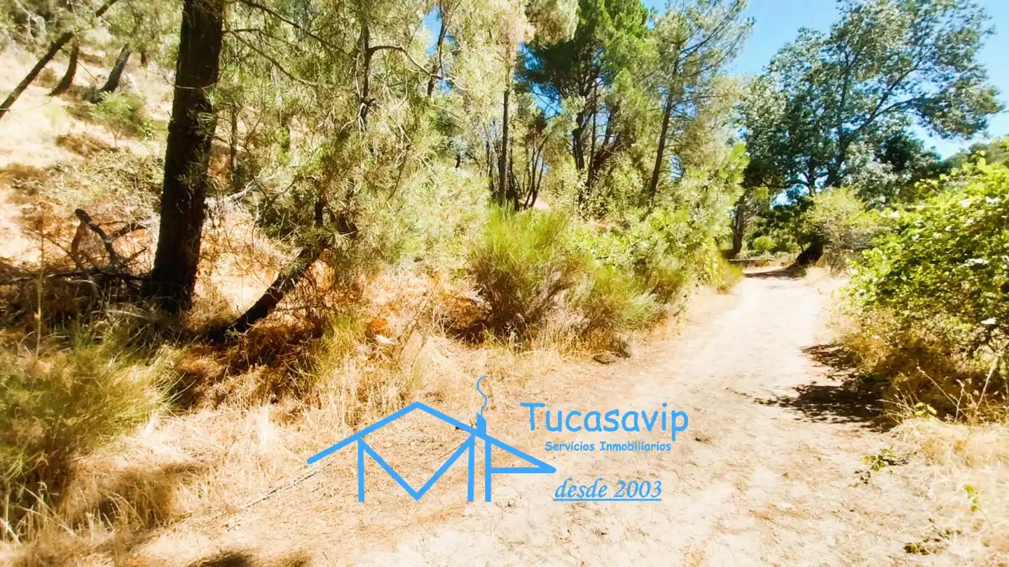 Terreno en venta en Cadalso de los Vidrios