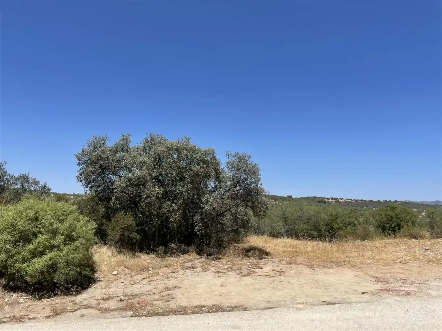 Finca rústica en venda en Guarromán
