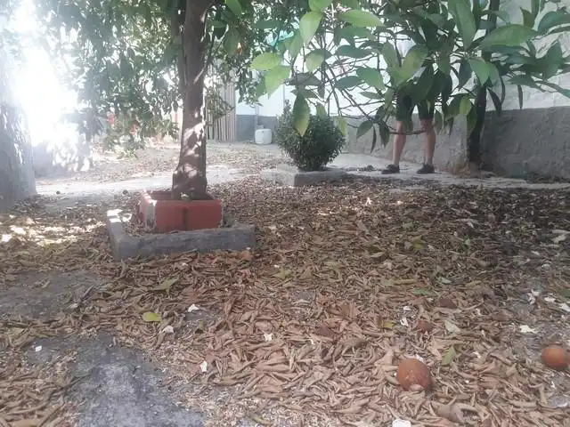 Casa amb jardí en venda a Villanueva del Rey, imagen 24