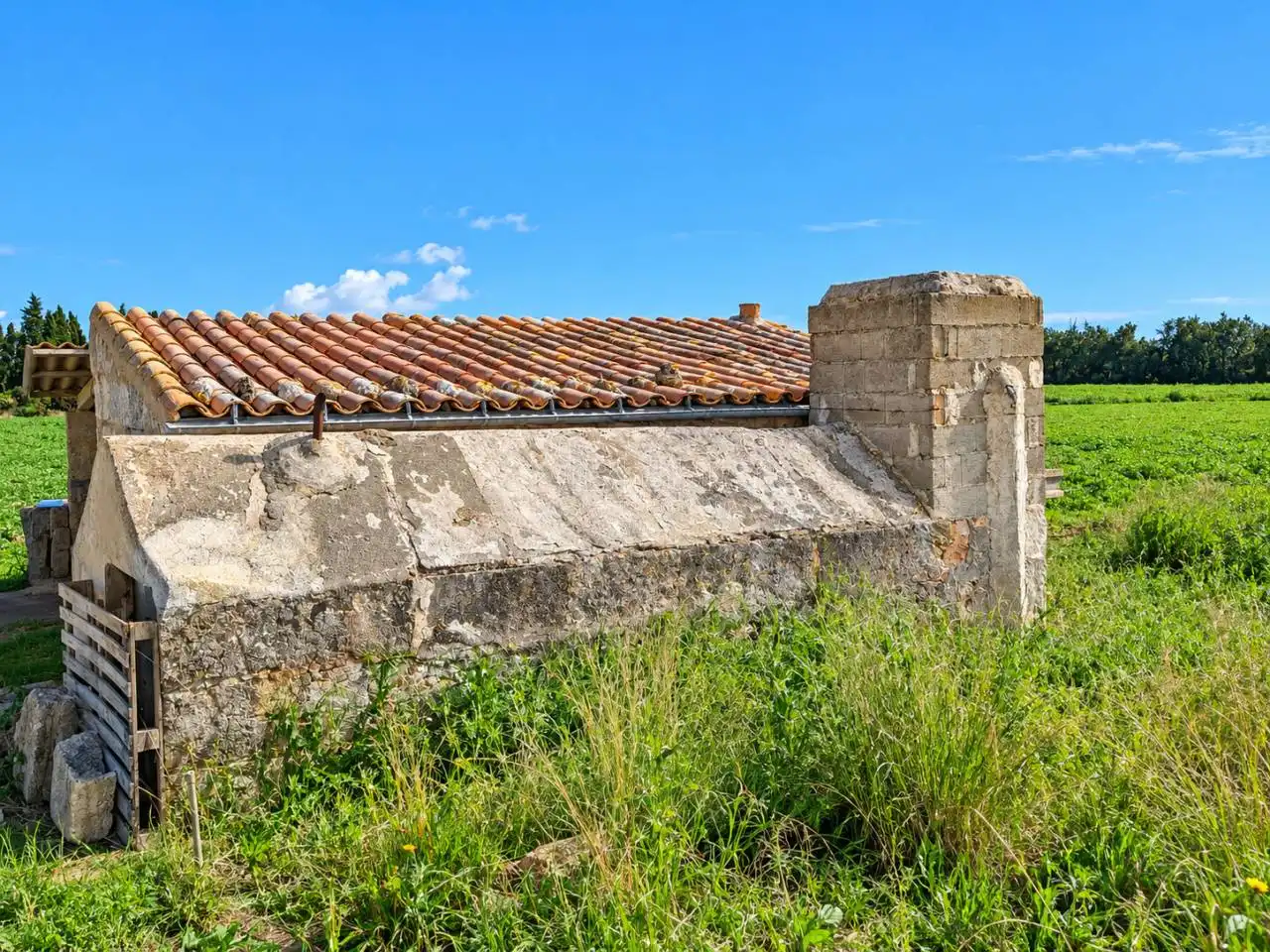 Terrain rustique à vendre à Sa Pobla, imagen 8