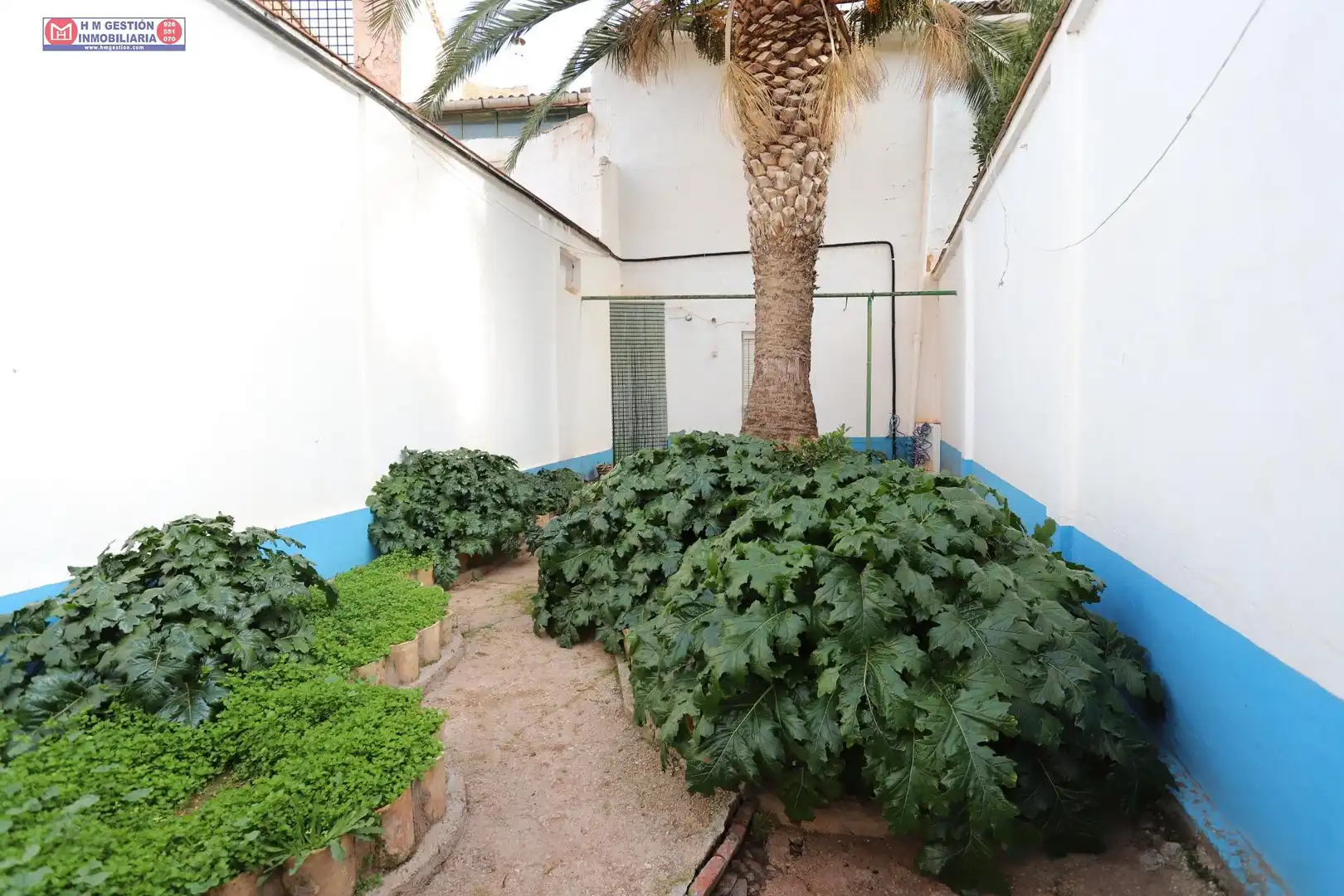 Haus mit Garten zum Verkauf in Alcázar de San Juan, imagen 24