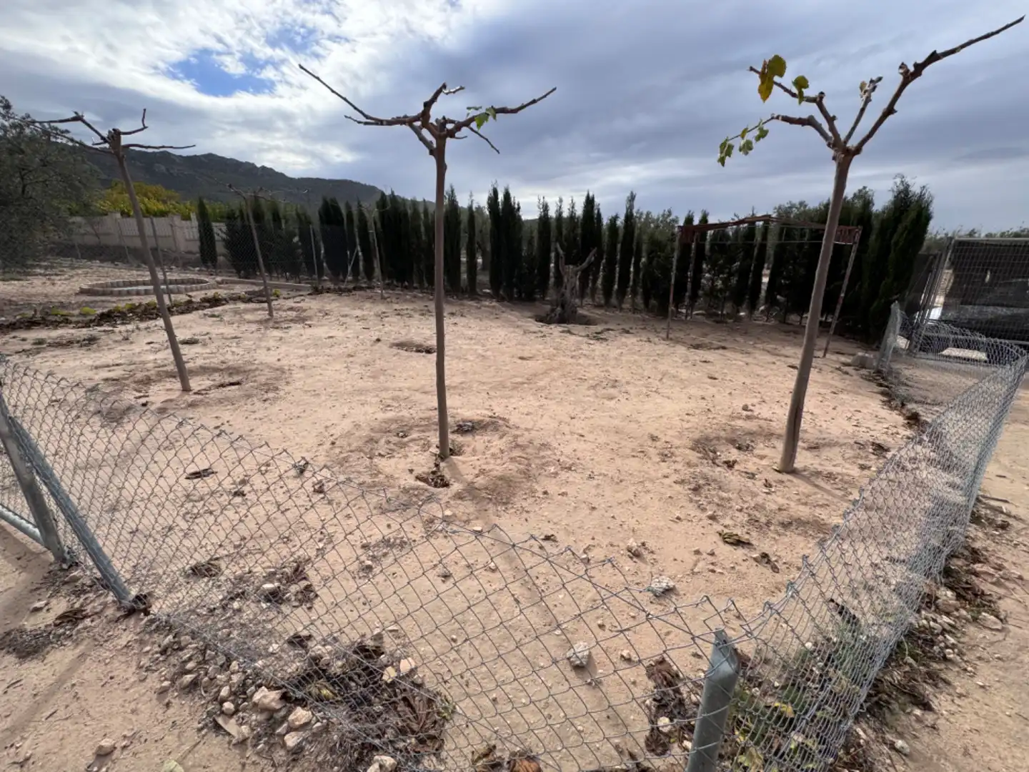Terreno rústico en venta en Peña Rubia, imagen 4
