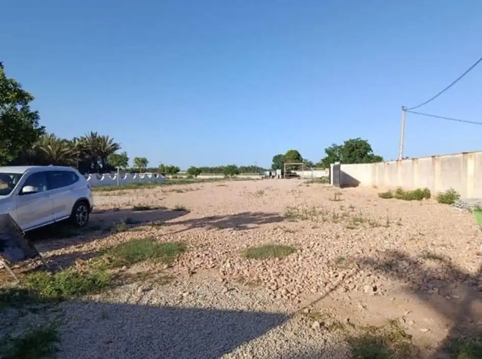 Terreno rustico in vendita a Catral, imagen 2