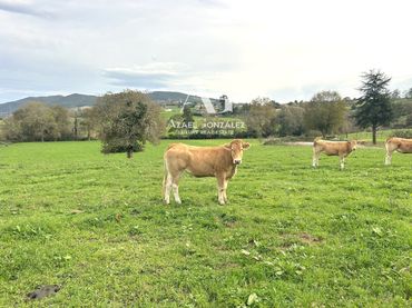 Rural land for sale in El Cierro, Ribamontán al Monte
