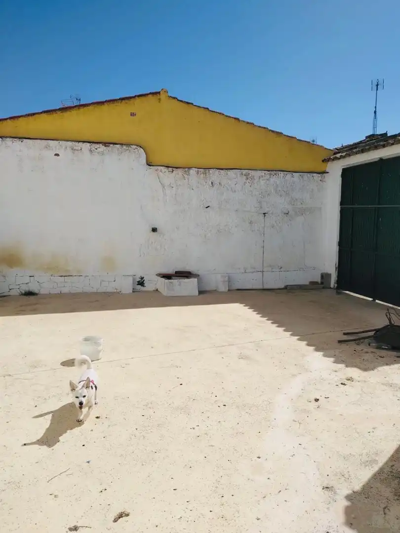 Casa en venda a MAYOR