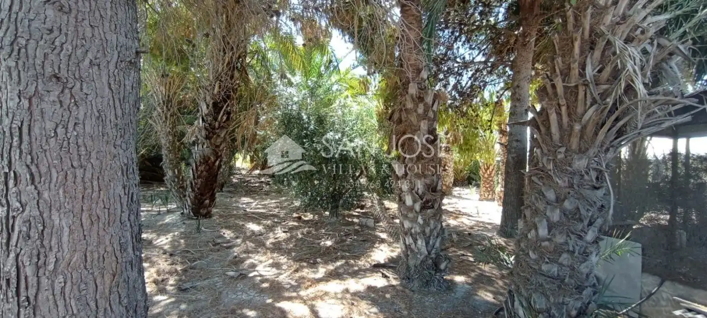 Casa o chalet en venta en Crevillent con Aire acondicionado, Calefacción y Jardín privado