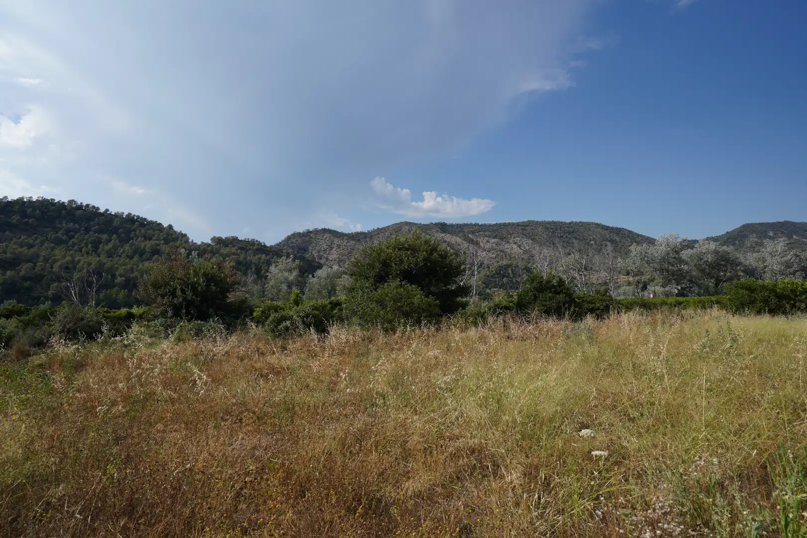 Terrain rustique à vendre à Benifallet, imagen 9