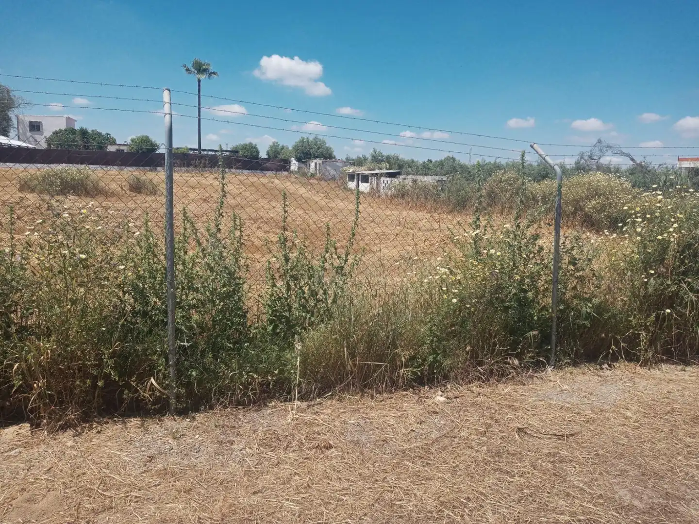 Terreni e lotti in vendita a Utrera ciudad, imagen 17