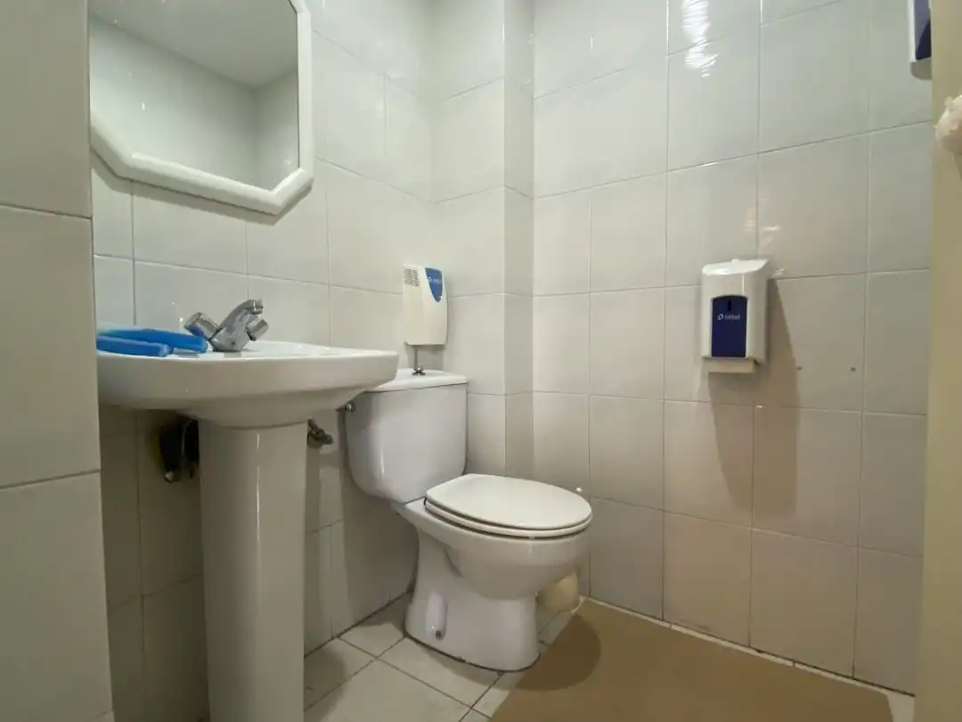 Bathroom of Industrial buildings for sale in Andoain