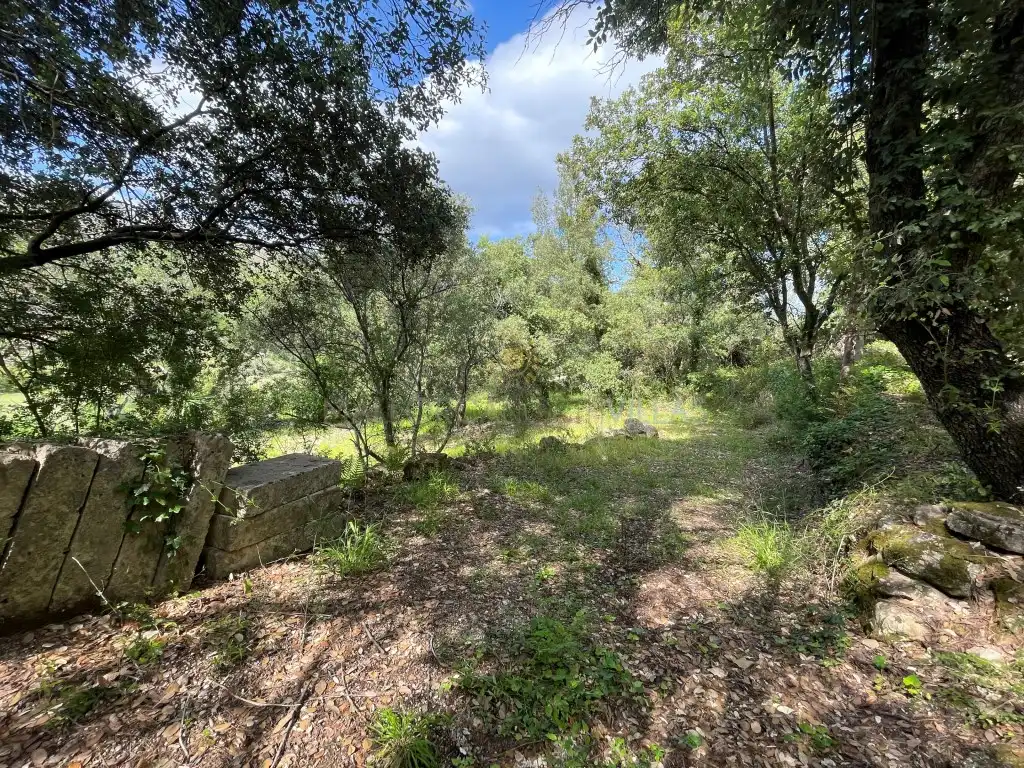 Casa in vendita a Pollença Poble, imagen 15