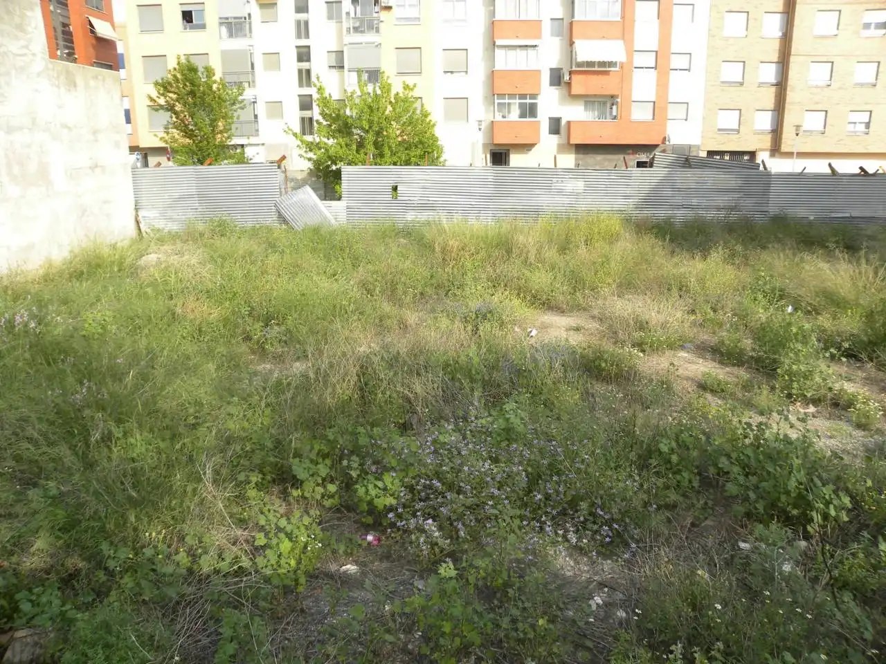 Terreno residencial en venta en Caravaca de la Cruz, imagen 2