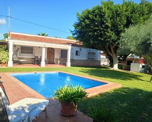 Garden of Country house for sale in Benijófar  with Swimming Pool