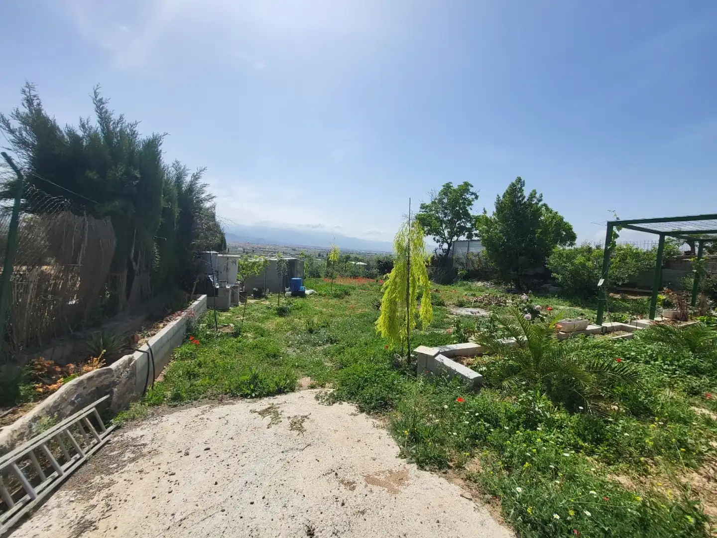 Terrenos y solares en venta en El Torreón - Cortijo Pretel, imagen 7