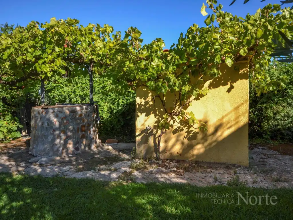 Jardín de Casa o chalet en venta en Fuente El Saz de Jarama, Madrid