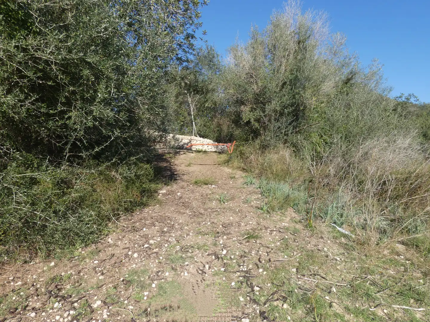 Residential land for sale in Sineu, imagen 13