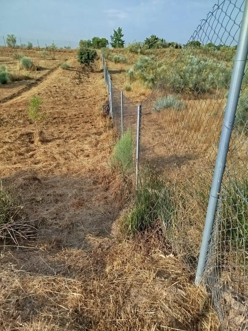 Terreno rústico en venta en Fuencarral - El Pardo, imagen 21