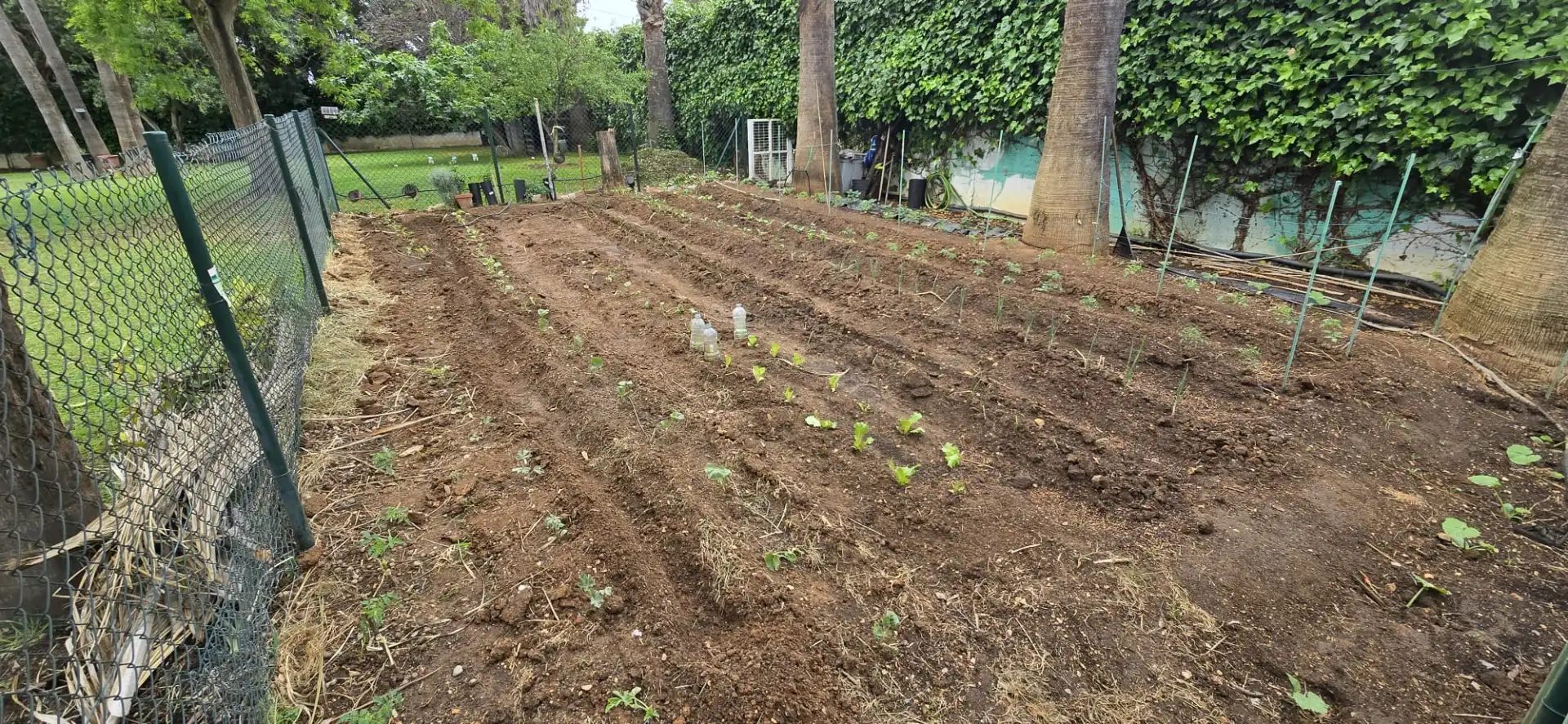 Garden of Houses for sale in Jerez de la Frontera  with Air Conditioner, Private garden and Swimming Pool