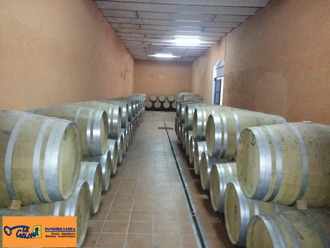 Local comercial en venta en Valdepeñas