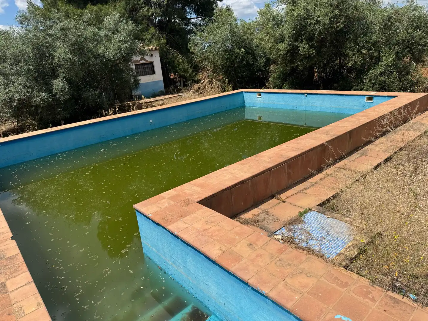 Schwimmbecken von Gebäude zum Verkauf in Marchena mit Gemeinschaftspool
