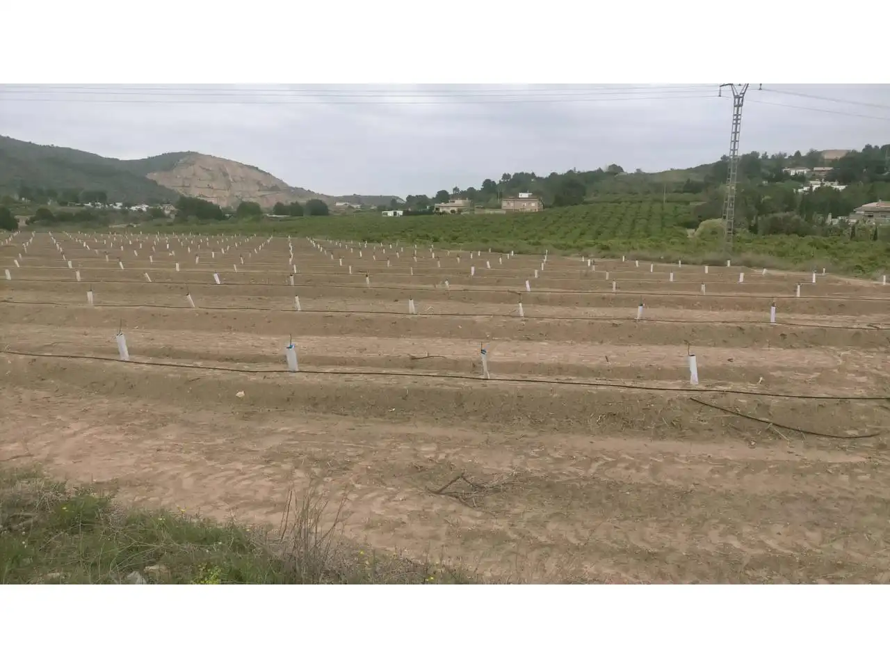 Terreno rustico in vendita a Calle XARCOS SECS, imagen 7