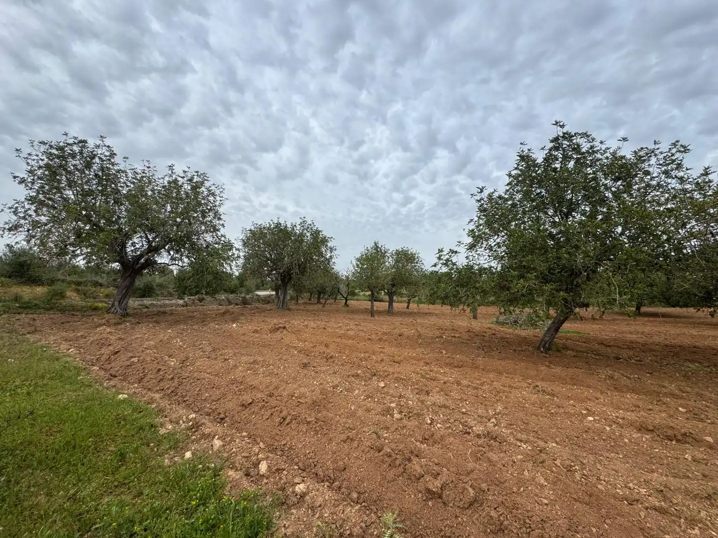 Rustikales Grundstück zum Verkauf in Camino Camí Vell de Porreres 2, imagen 35