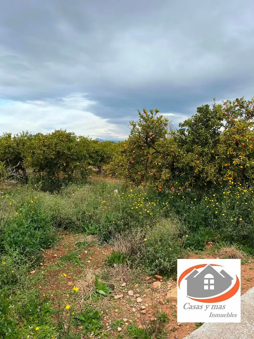 Terreno rustico in vendita a moli de llop, imagen 5