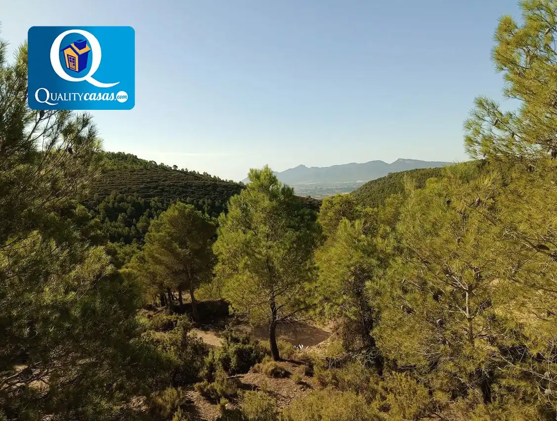 Terrenys i solars en venda a Onil, imagen 10