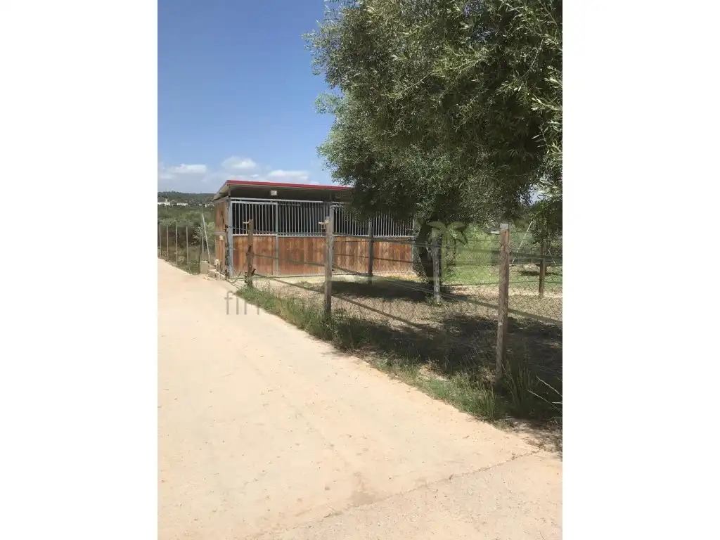 Casa amb piscina en venda a San Jorge / Sant Jordi, imagen 29