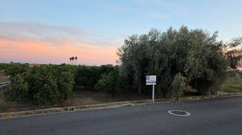 Photo 2 of Land for sale in Carretera Tercer Sedeny, 1198, Piscinas, Castellón