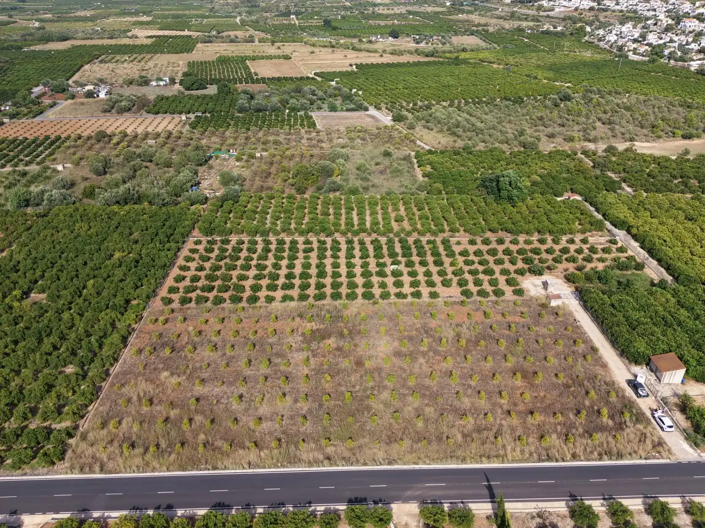 Rural land for sale in CV-715 10, imagen 5