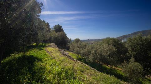 Foto 2 de Finca rústica en venda a Carrer del Pouador, 26, Alaró, Illes Balears