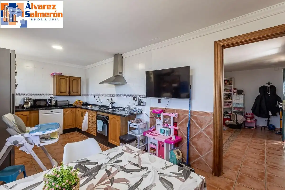 House with garden for sale in Calle MOLINILLO, imagen 4
