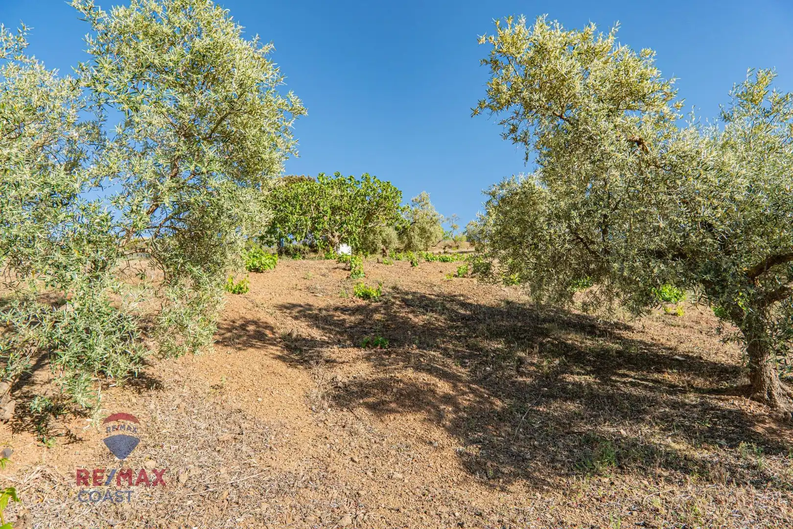 Haus zum Verkauf in piedras blancas poligono 15, imagen 45