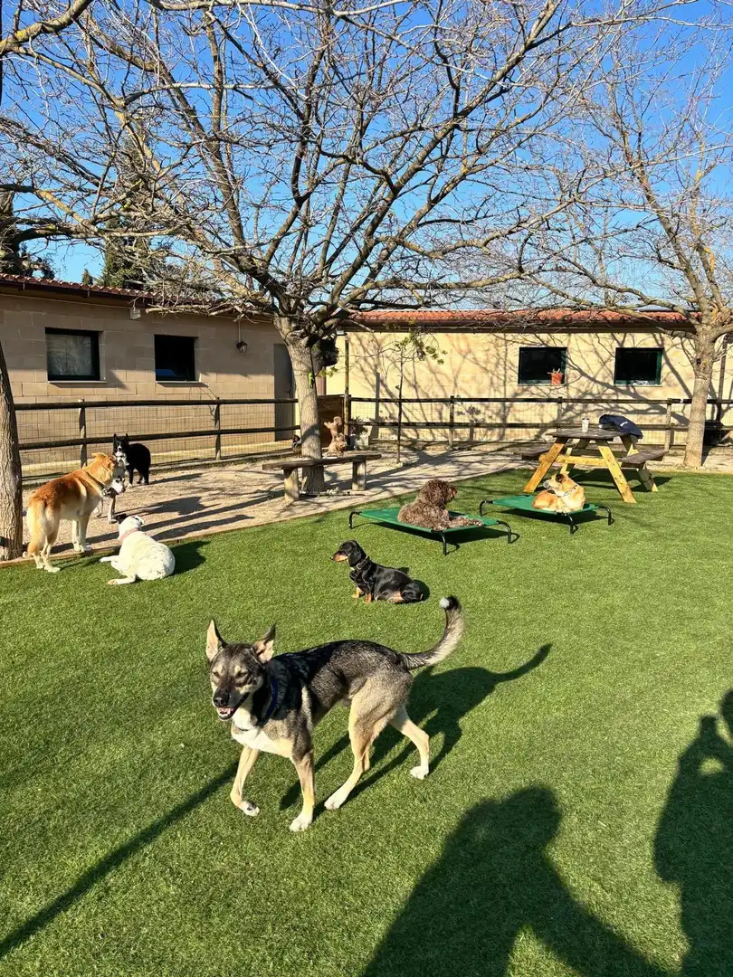 Jardín de Terreno en venta en Abrera