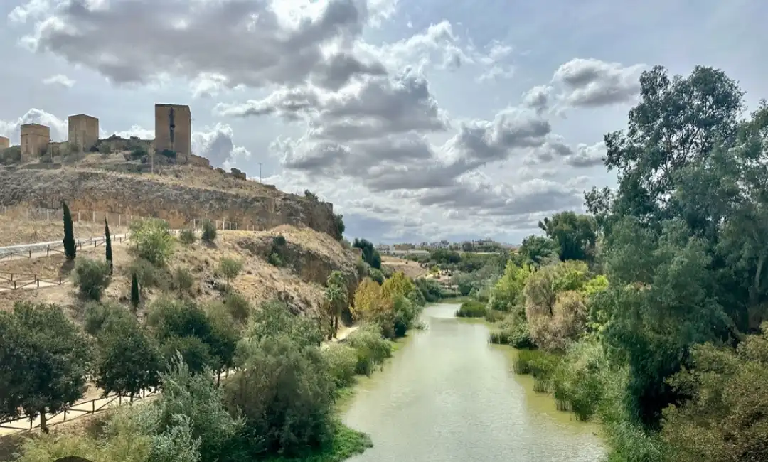 Vista exterior de Edifici en venda en Alcalá de Guadaira