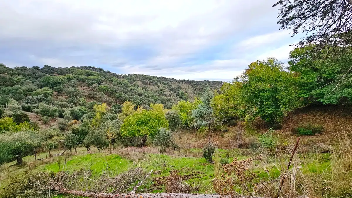 Houses for sale in Cortegana  with Private garden, Terrace and Storage room