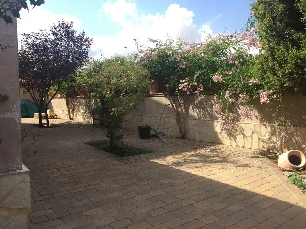 Jardí de Casa o xalet en venda en Elche / Elx amb Jardí privat, Terrassa i Piscina