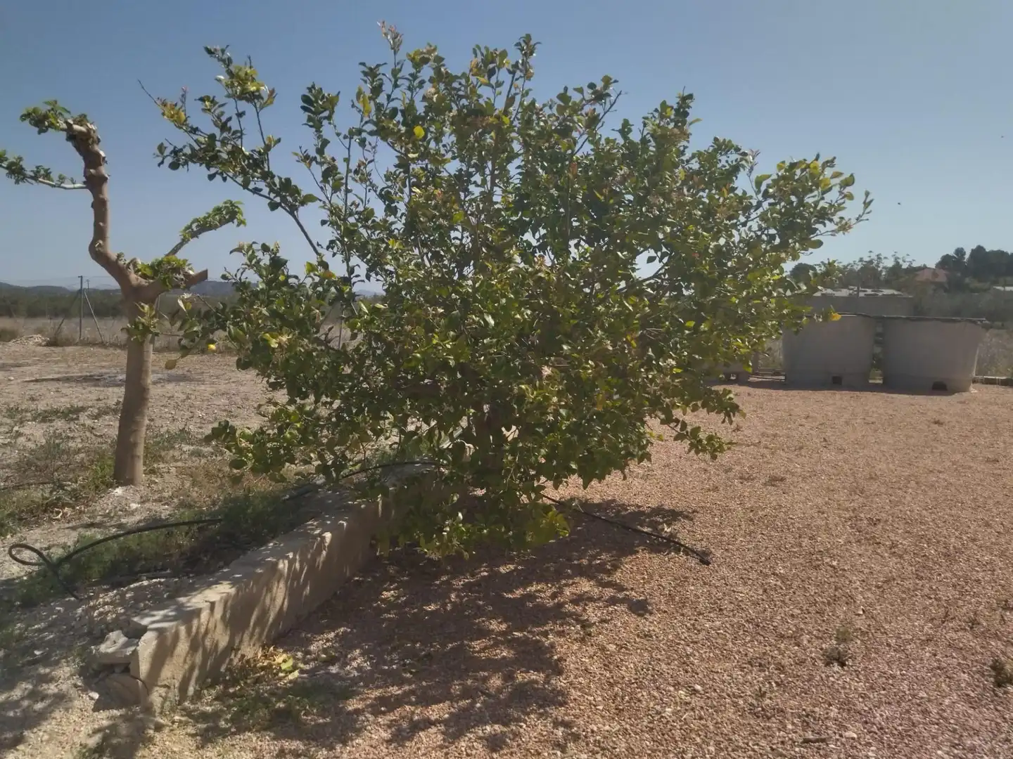 Finca rústica en venta en Moratalla con Aire acondicionado, Calefacción y Jardín privado