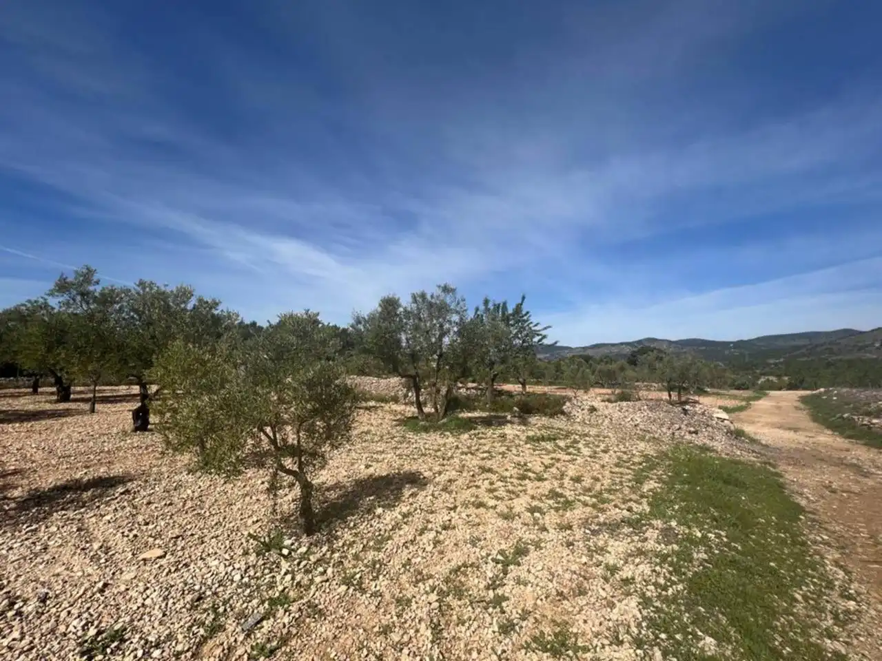 Chalet con jardín en venta en Calle Poligono, imagen 79