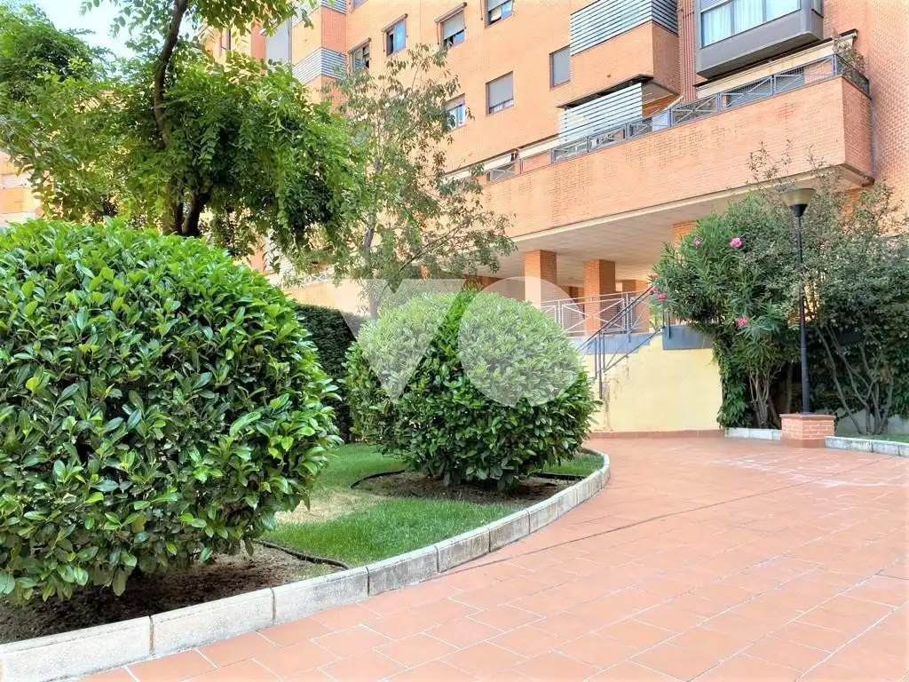 Garten von Wohnung zur Miete in San Blas