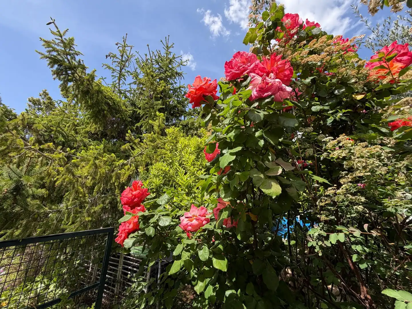 Chalet con jardín en venta en Sant Jaume dels Domenys, imagen 20
