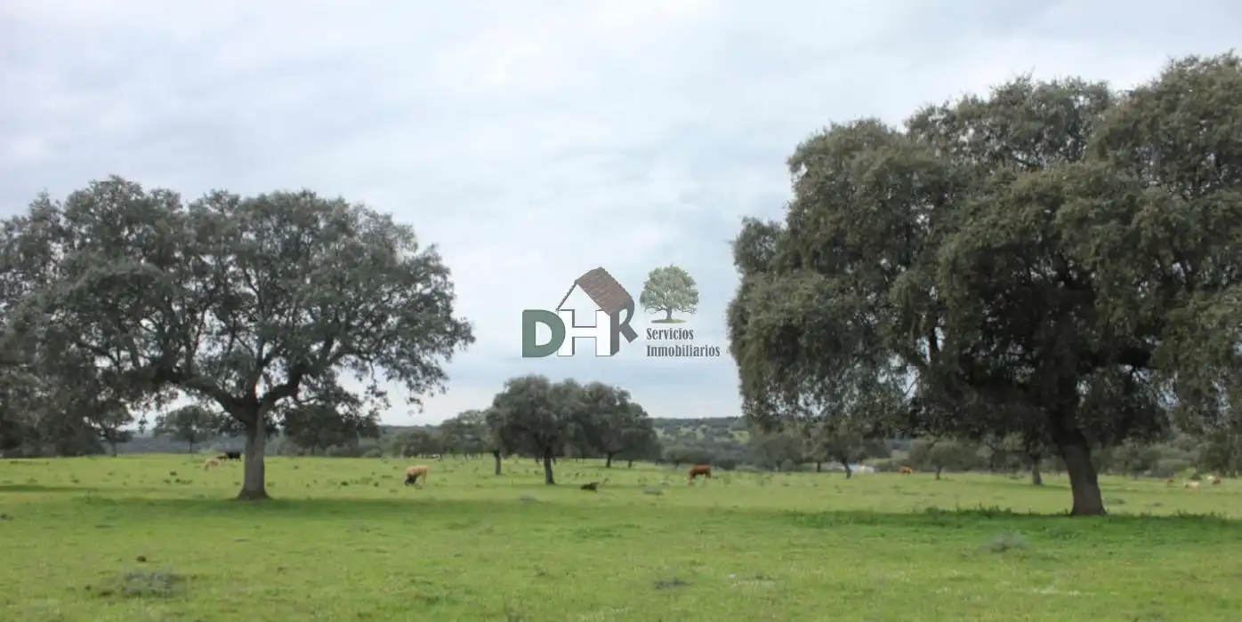 Terreni e lotti in vendita a Valdesalor - Rincón de Ballesteros
