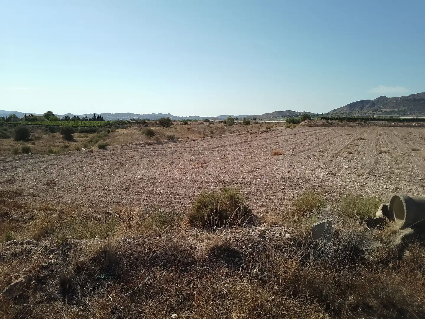 Terrain rustique à vendre à Novelda, imagen 19