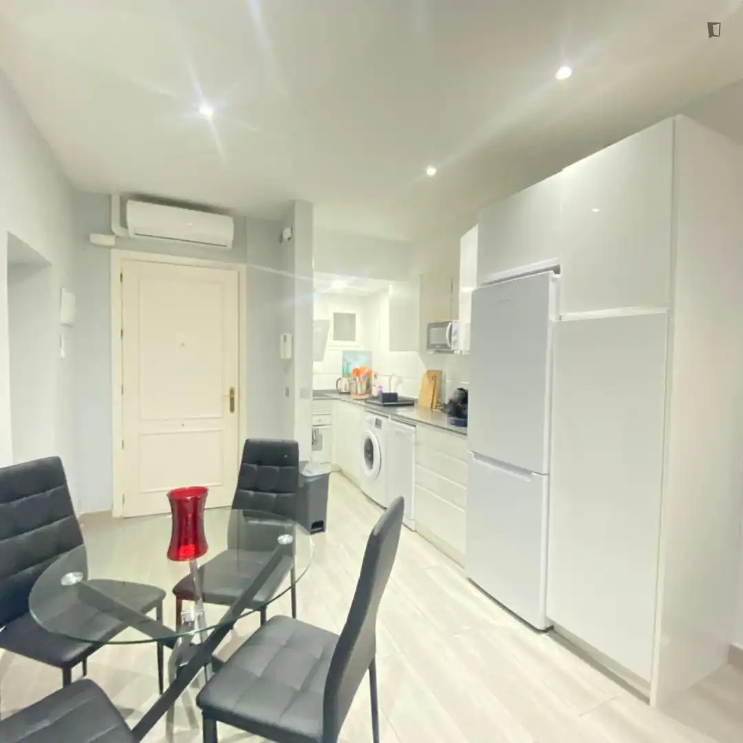 Cuina de Apartament de lloguer en Madrid amb Aire condicionat, Moblat i Forn